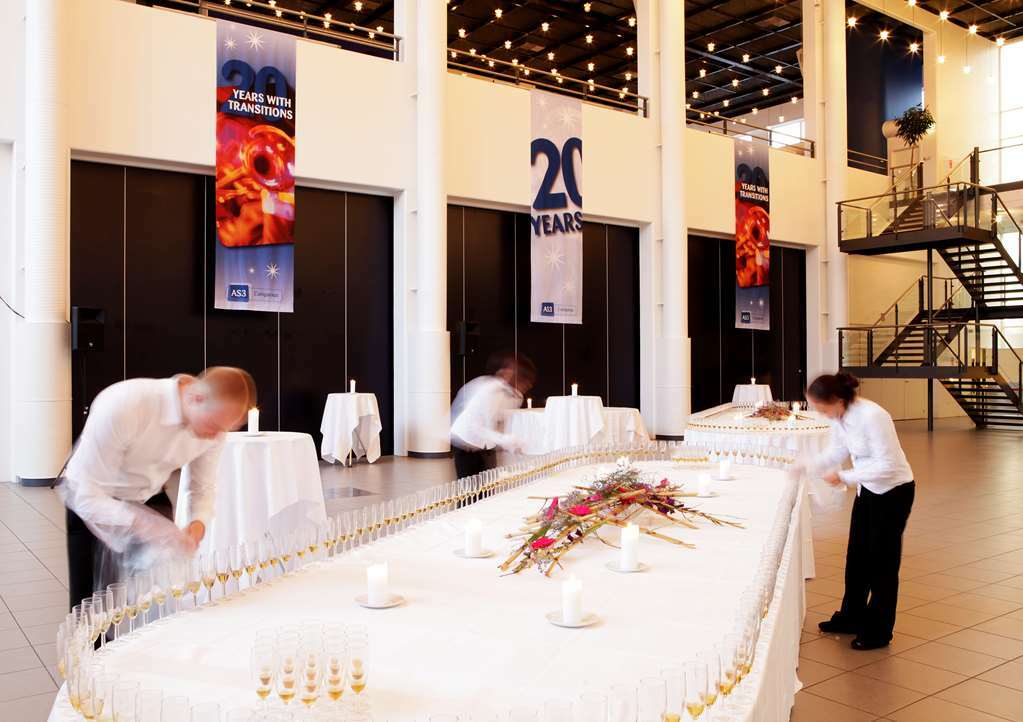 Radisson Blu Scandinavia Hotel אורהוס מתקנים תמונה